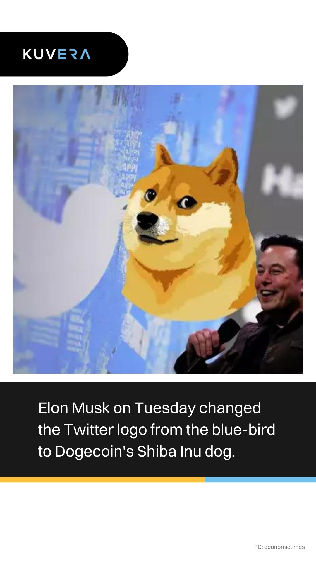 What is Dogecoin, the new Twitter logo? - Kuvera