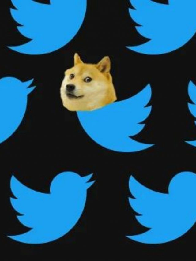 What is Dogecoin, the new Twitter logo?