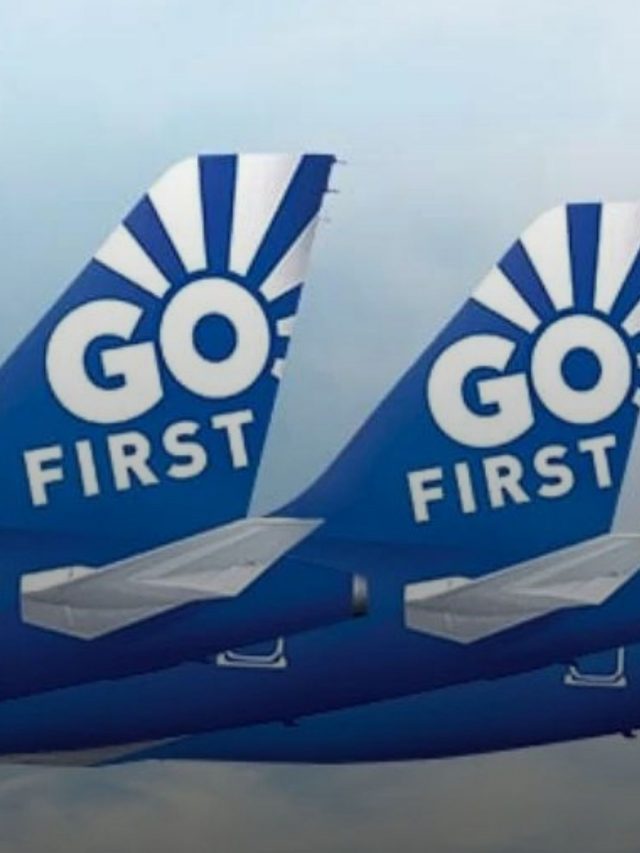 Who owns the Go First or GoAir airline?