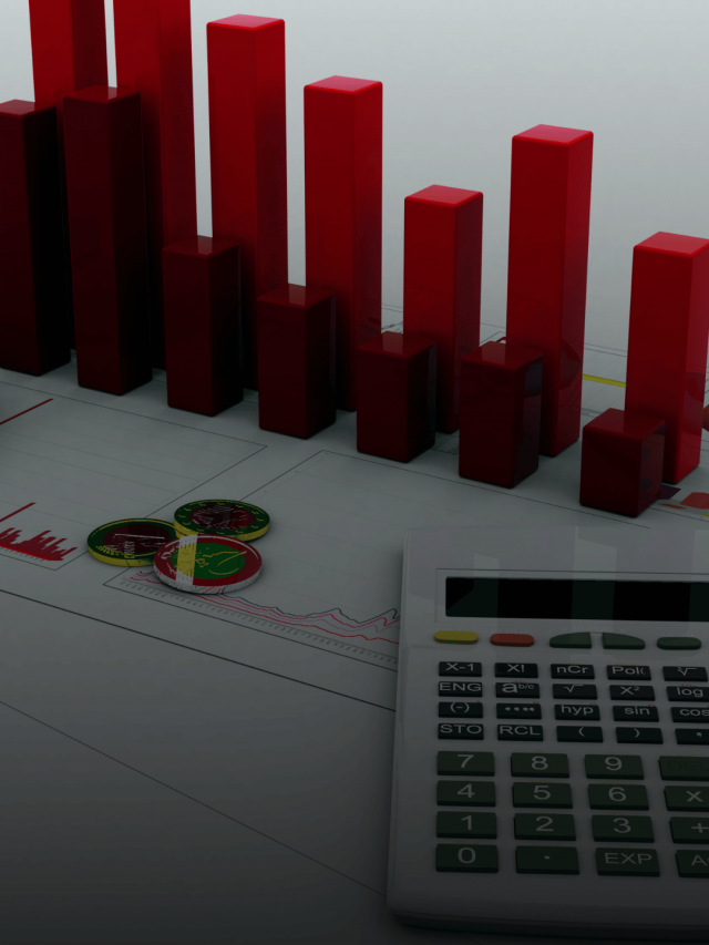 Nifty 50s biggest Losers of 2024