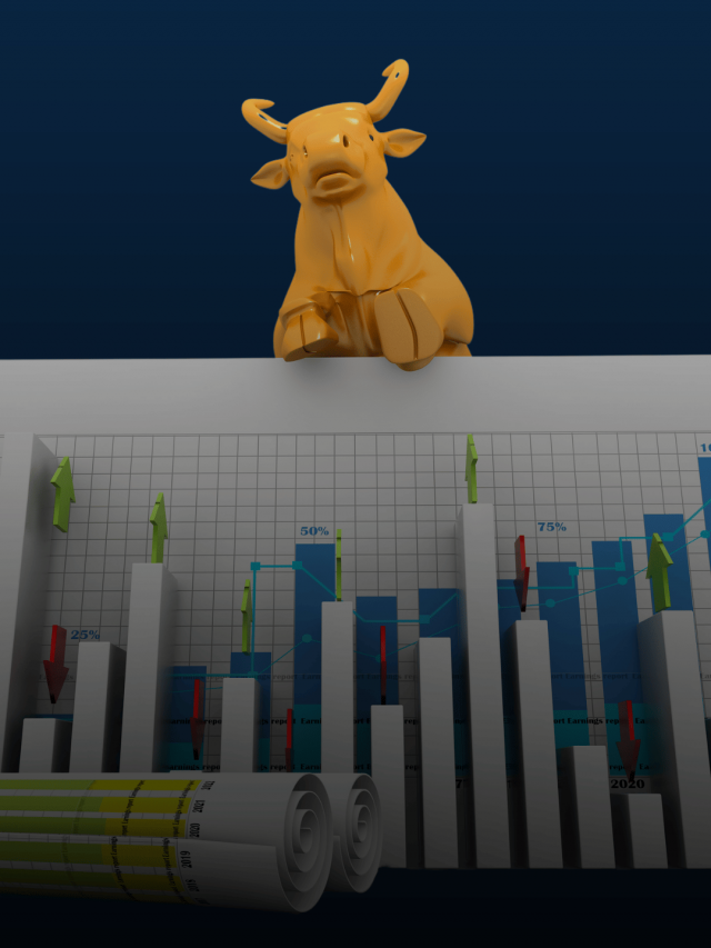 Indian Stock Market Performance in 2024