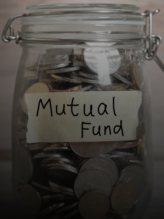 Top performing Mutual Fund Categories for 2024